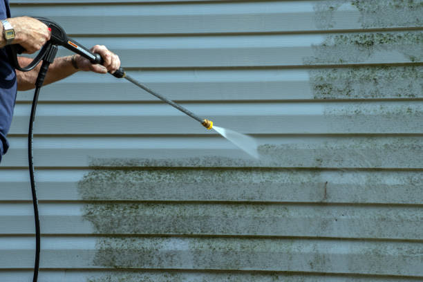 Best Deck and Patio Pressure Washing in Lake Erie Beach, NY